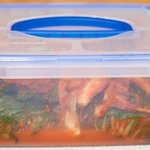 Seal the container tightly and let it sit at the room temperature for 1-2 days depending on how hot your room is. 