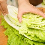 Sprinkle some salt onto the white stem part of each leaf of the cabbage.