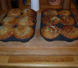 Blueberry Cupcakes or Muffins