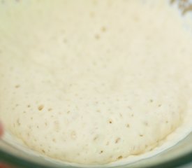 Focaccia Dough