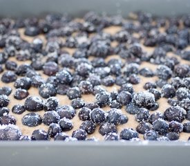 Blueberry Streusel Cake