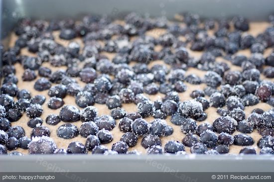 Spread the blueberries over the batter evenly.