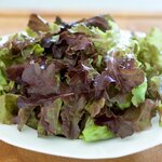 Place your beautiful lettuce or any mixed greens onto each plate.