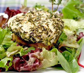 Warm Chévre and Apple Rings with Manitoba Hemp Seed Oil Vinaigrette