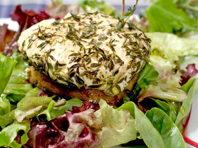 Warm Chévre and Apple Rings with Manitoba Hemp Seed Oil Vinaigrette