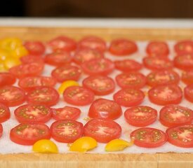 Cheesy Tomato and Zucchini Mini Tarts