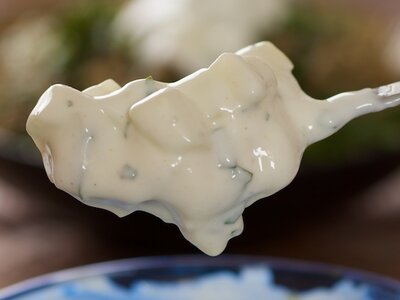 Yogurt with Cumcumber and Mint (Kheere Ka Raita)