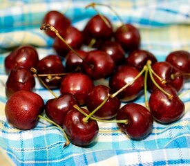 Moist Cherry Ricotta Muffins