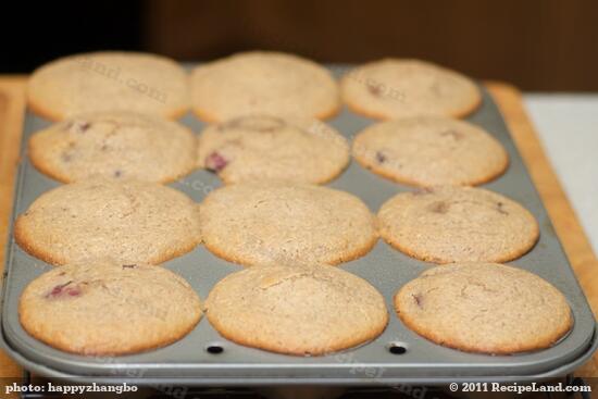 Bak the muffins until lightly browned and a toothpick inserted in the center of a muffin comes out clean, about 30 minutes. 