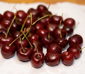 Fresh Cherry Clafoutis