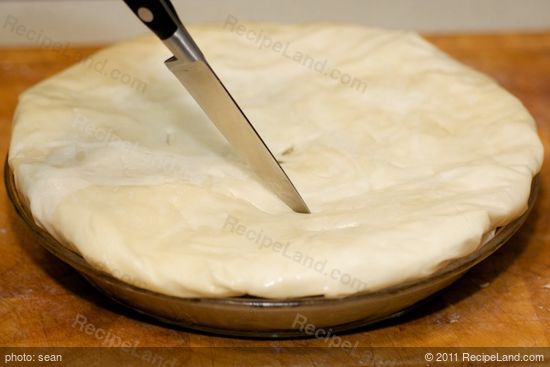 Stuff the edges into the sides of the pan to form a pie crust looking. 