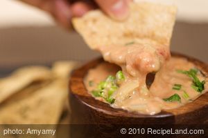 Beer Chile Con Queso (Superbowl - Reduced fat) recipe