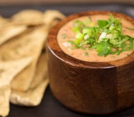 Beer Chile Con Queso (Superbowl - Reduced fat)