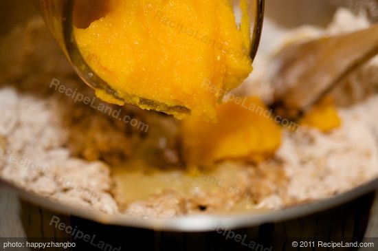 and the pumpkin or butternut squash puree.