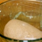 Place the dough in a bowl