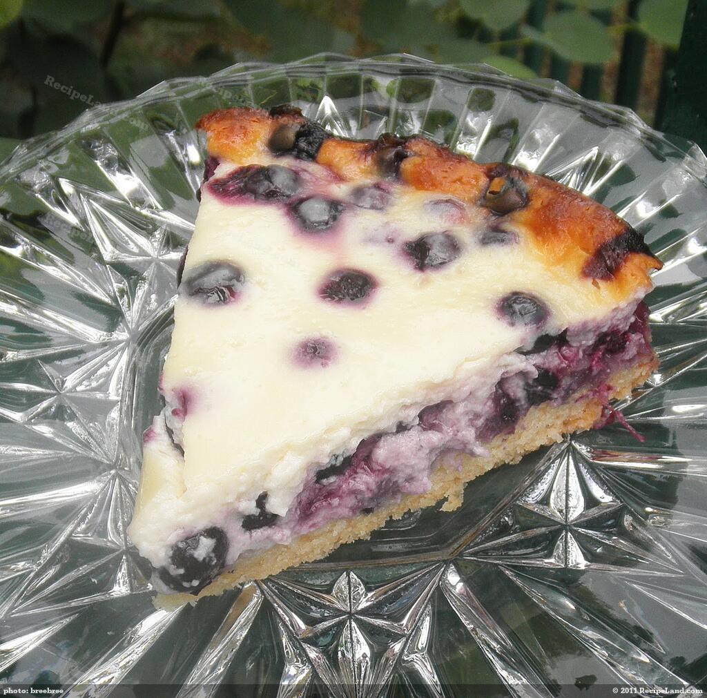 blueberry sour cream cake nova scotia