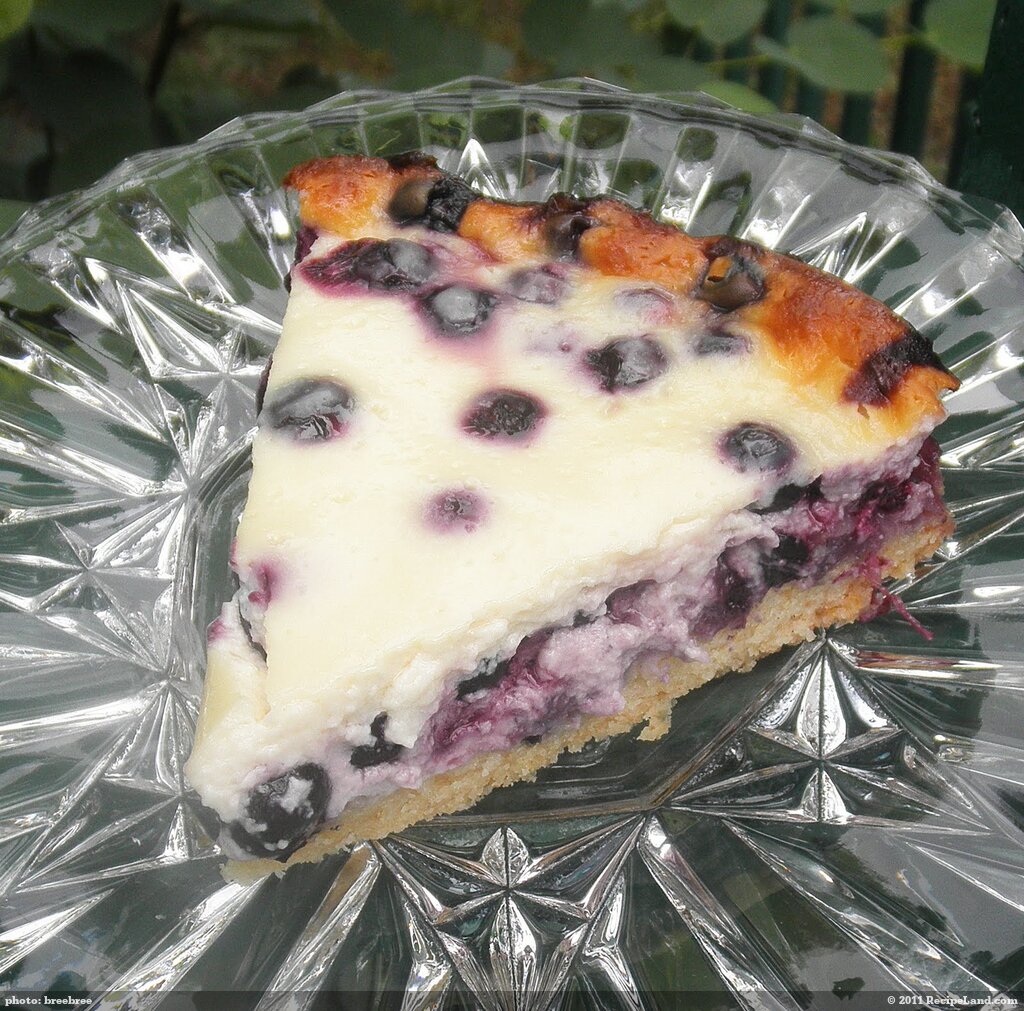 Nova Scotia Blueberry Cream Cake