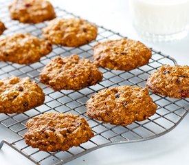 Cranberry Chocolate Oatmeal Cookies