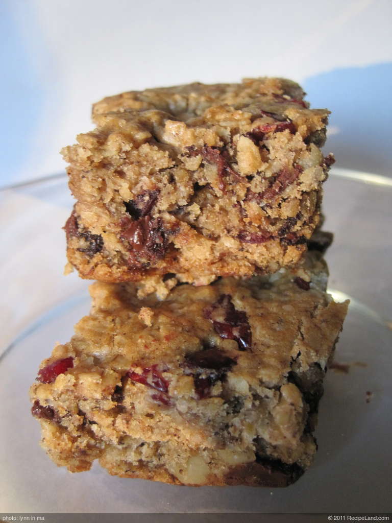Chocolate Chip, Banana, Oat Squares recipe