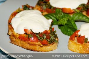 Tomato and Basil Bruschetta with Fresh Mozzarella Sandwich 