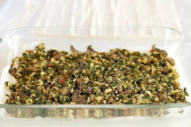 Place half of spinach mixture on top. 