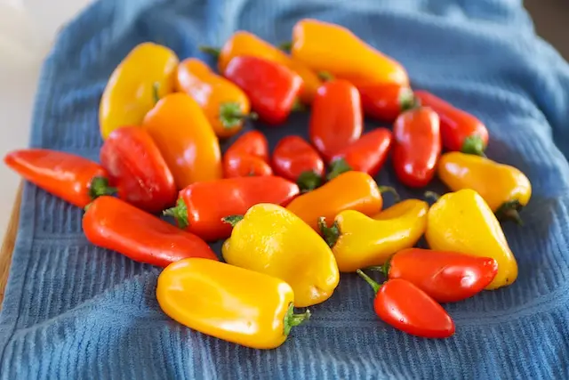 and some baby bell peppers.
