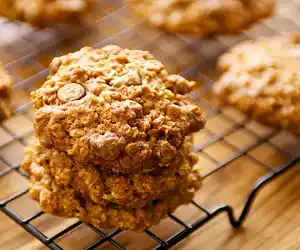 Apple Sauce Oatmeal Chocolate Chip Cookies