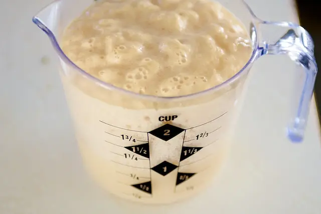 Basil-Rosemary Whole Wheat Baguettes