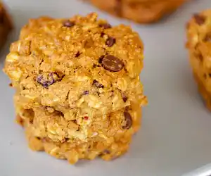 Applesauce Chocolate Chip-Oatmeal Cookies
