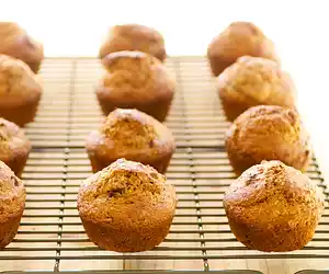 Low Fat Bran Muffins