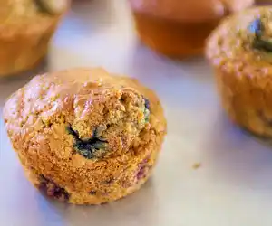 Oatmeal Blueberry Muffins
