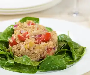 Toasted Quinoa Salad with Dried Apricots, Cherry Tomato & Baby Spinach