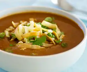Savory Tortilla Soup