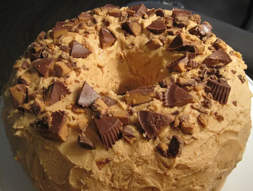 Favorite Chocolate Bundt Cake