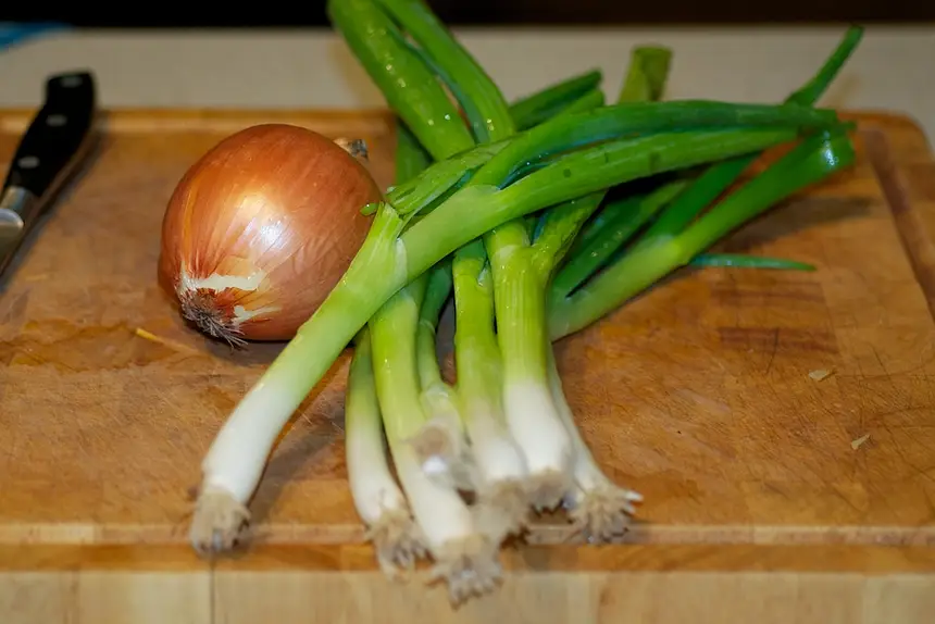 Next you need an onion and a bunch of scallions.
