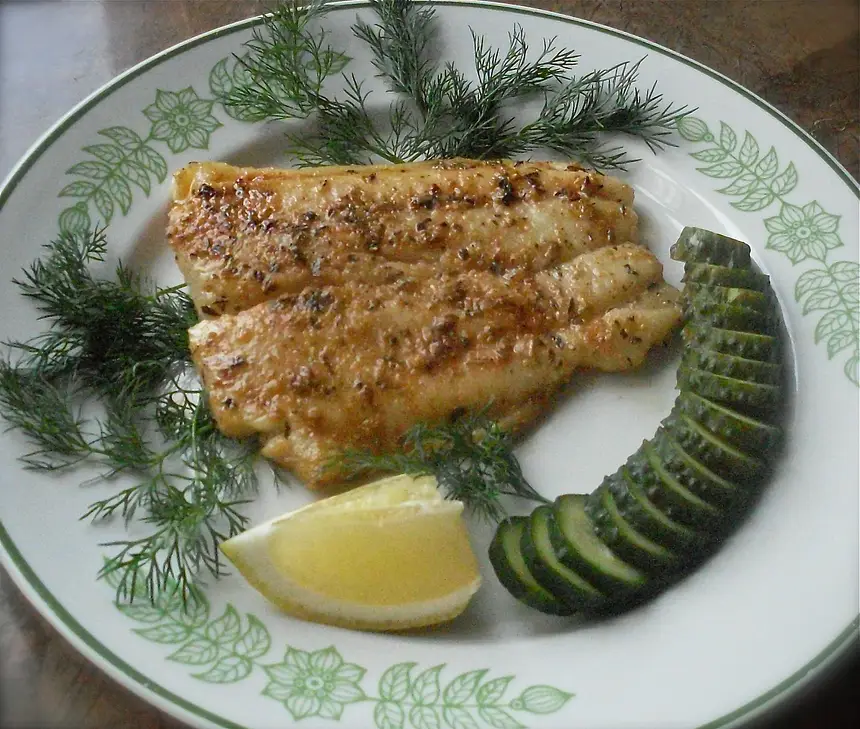 Bronzed Talapia