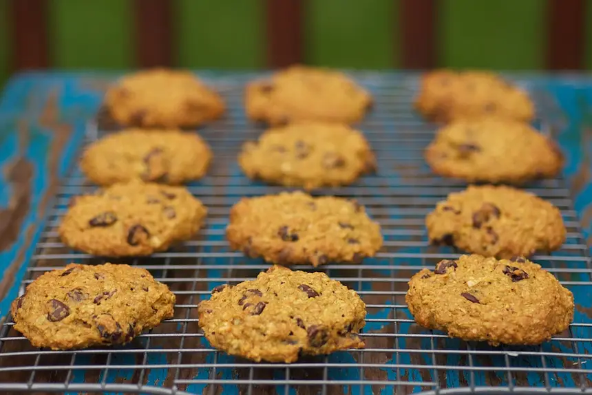 Pumpkin Oatmeal Chocolate Chip Cookies