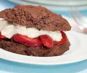 Low Fat Chocolate Strawberry Shortcake