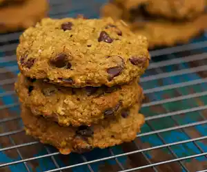 Pumpkin Oatmeal Chocolate Chip & Cranberry Cookies