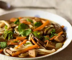 Asian Udon Noodle Soup