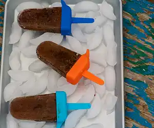 Coffee Fudge Popsicles