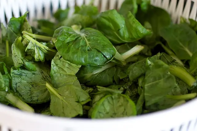 Stir in the tatsoi or spinach,