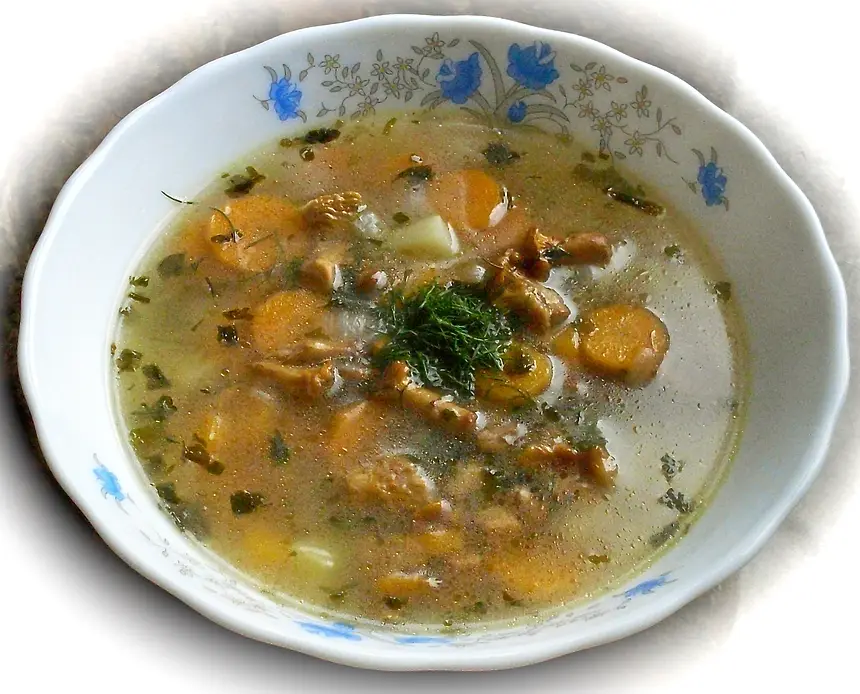 Chanterelle & Carrot Soup