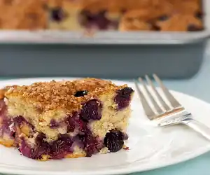 Best Ever Blueberry Coffee Cake (Low Fat)