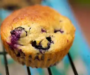Moist Blueberry Coffee Cake Muffins