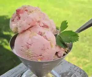 Strawberry Cheesecake Ice Cream