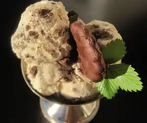 Frozen Vanilla Custard Ice Cream