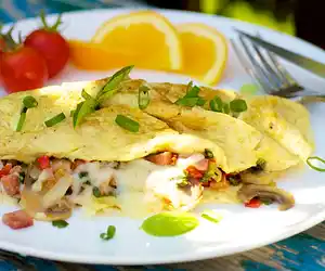 Low Fat Breakfast Omelet