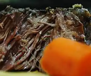 Pot Roast or Beef Stew in a Crockpot