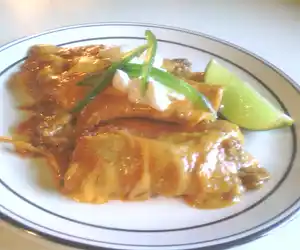 Vegan Enchilada Corn Tortillas 
